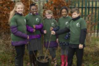 Tree Planting 1