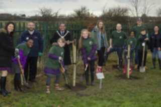 Tree Planting 3