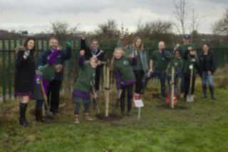 Tree Planting 4
