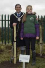 Tree Planting 5