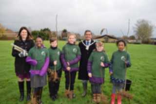 Tree Planting 7