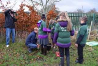 Tree Planting 9