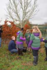 Tree Planting 10