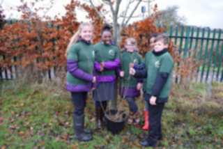 Tree Planting 12