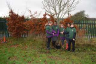 Tree Planting 13