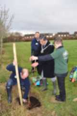 Tree Planting 15