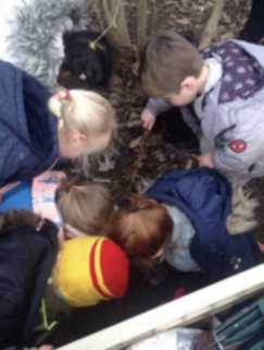 Forest school 